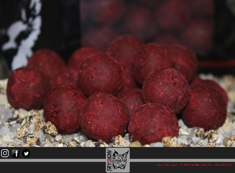 Cyprinus Max Bolsa 800 gr