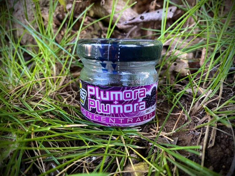 Concentrado Plumora Peralbaits