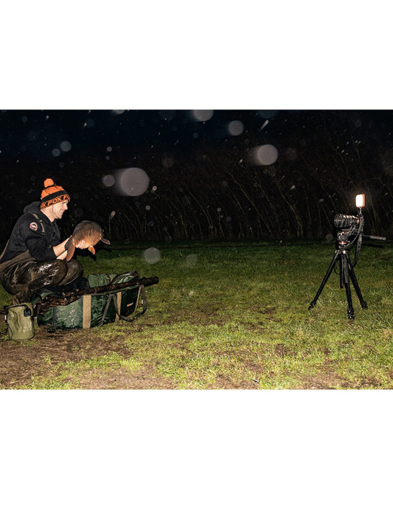 Fox Halo Photography Light